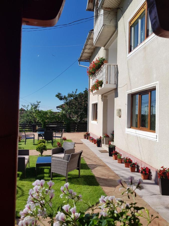 Pensiunea Alexia Novaci-Străini Exterior photo