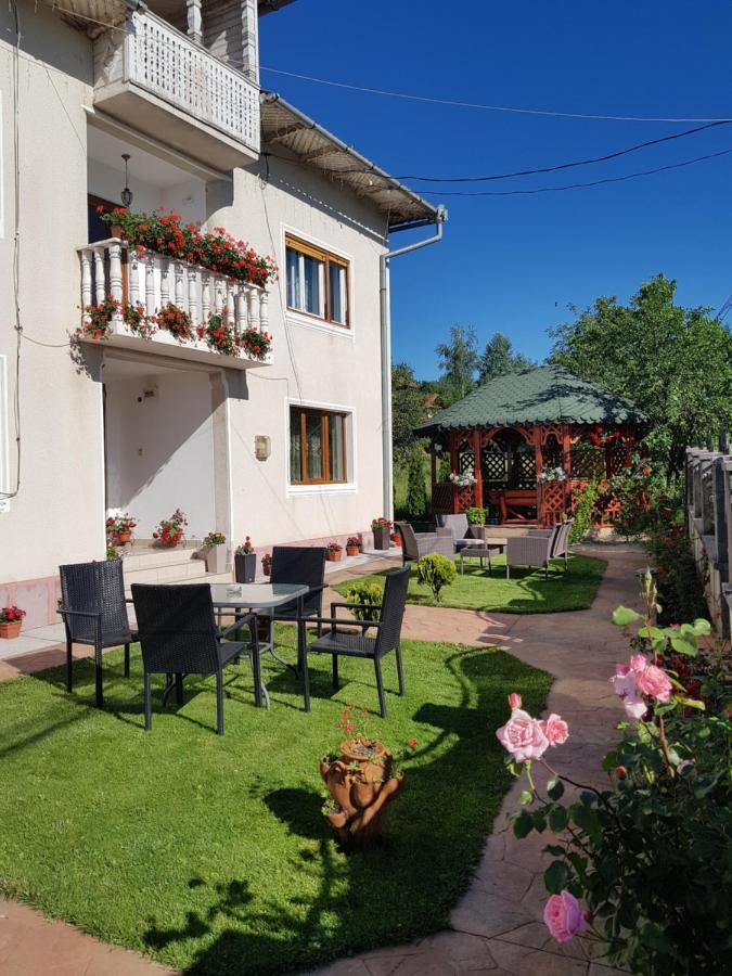 Pensiunea Alexia Novaci-Străini Exterior photo